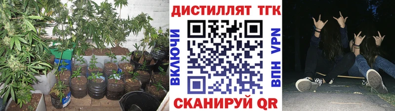 omg tor  Тара  ТГК Wax  где найти  