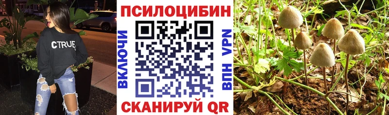 Псилоцибиновые грибы прущие грибы  продажа наркотиков  Тара 